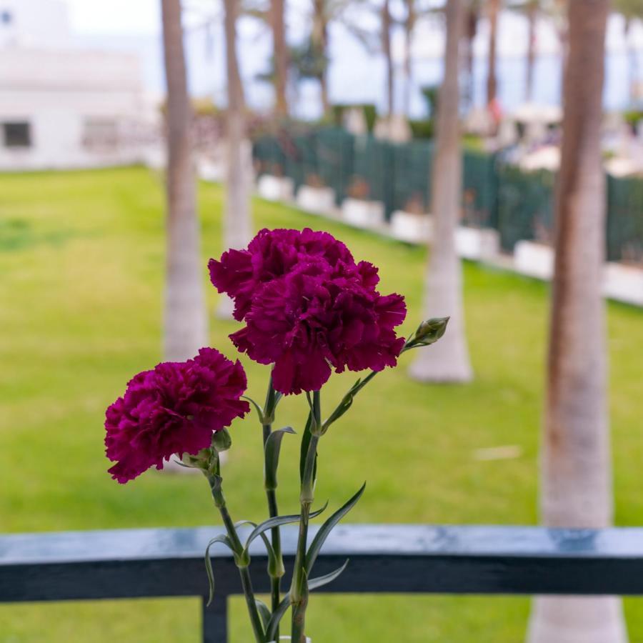 Studio Ocean Coast Los Cristianos Comodoro Εξωτερικό φωτογραφία
